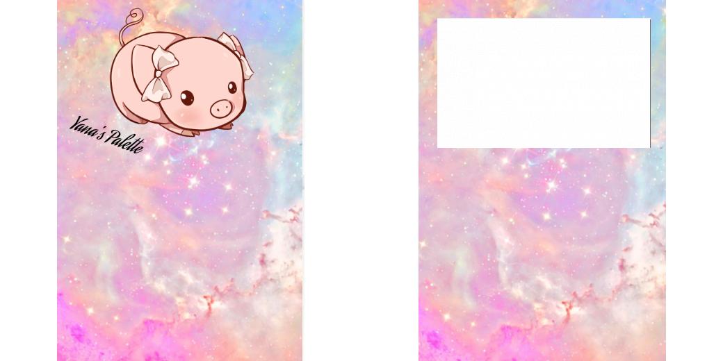 Custom Junior Z Palette