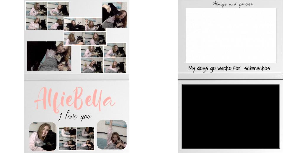 Custom Junior Z Palette