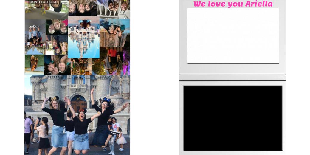 Custom Junior Z Palette