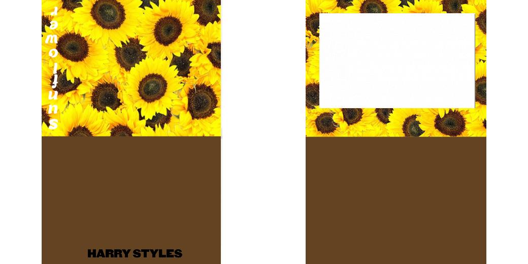 Custom Junior Z Palette