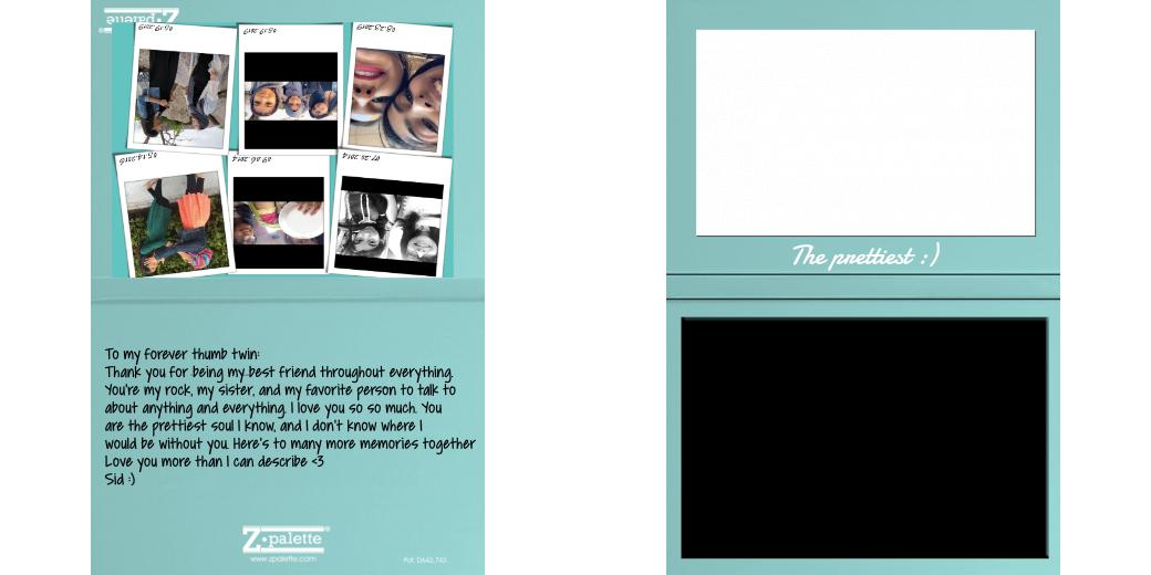 Custom Junior Z Palette