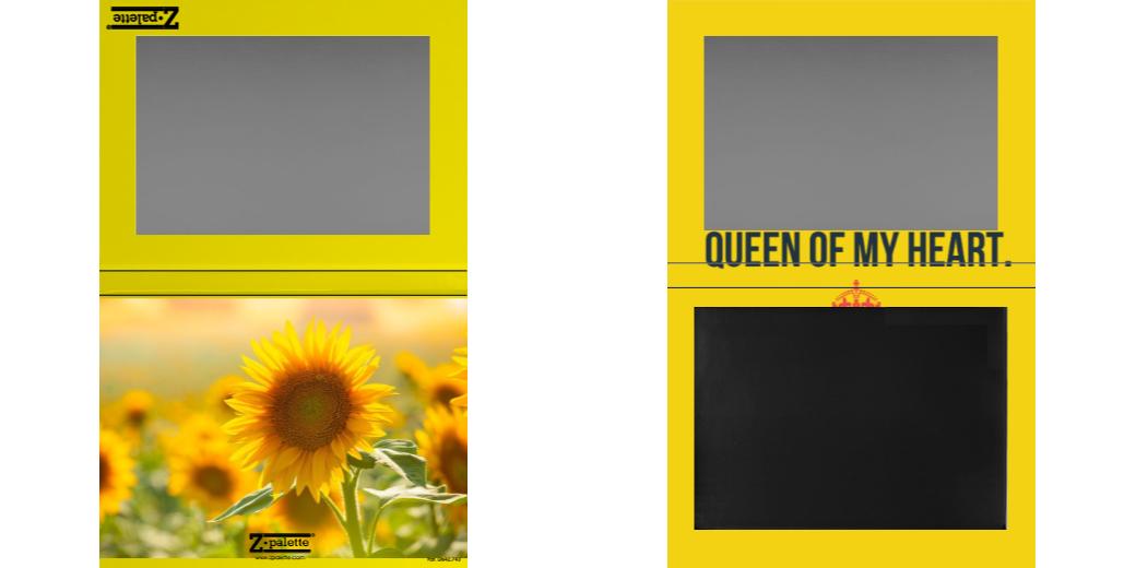 Custom Extra Large Z Palette