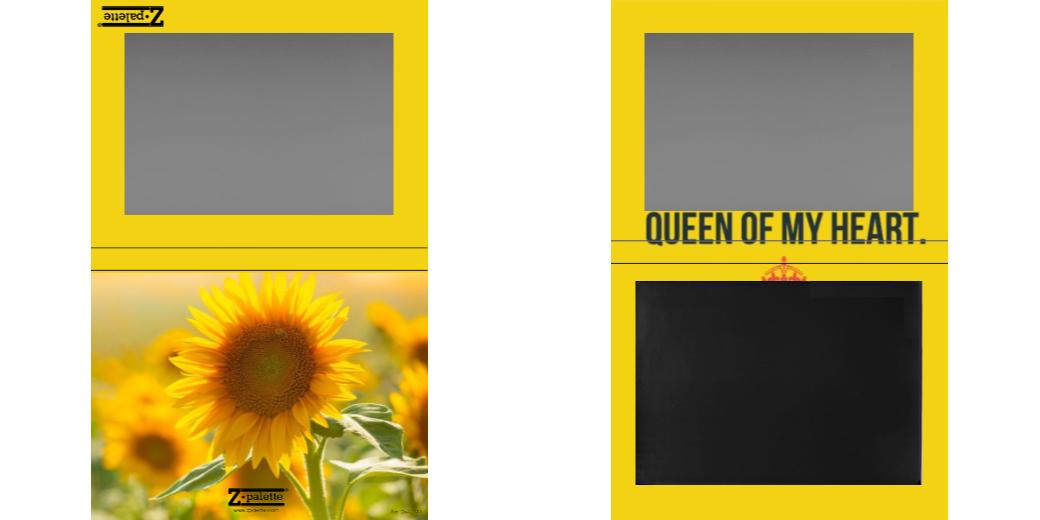 Custom Extra Large Z Palette