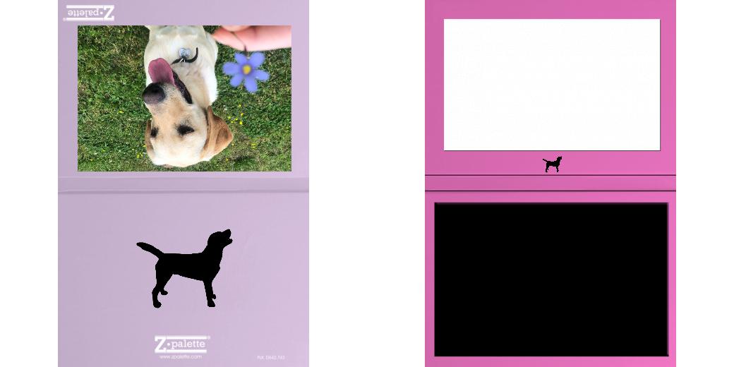 Custom Junior Z Palette