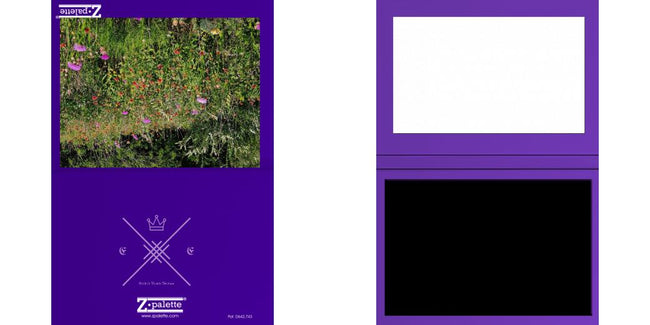 Custom Junior Z Palette