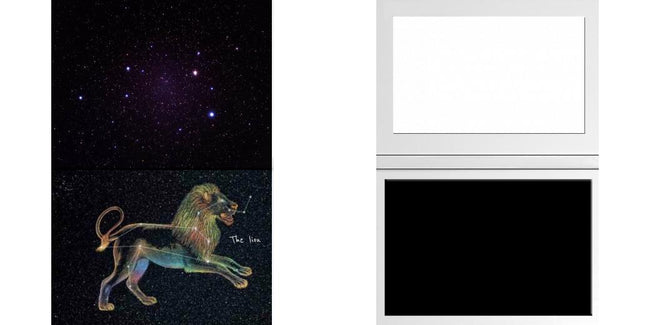 Custom Junior Z Palette