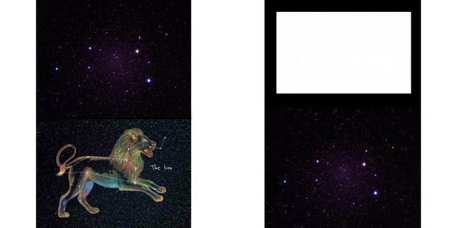 Custom Junior Z Palette