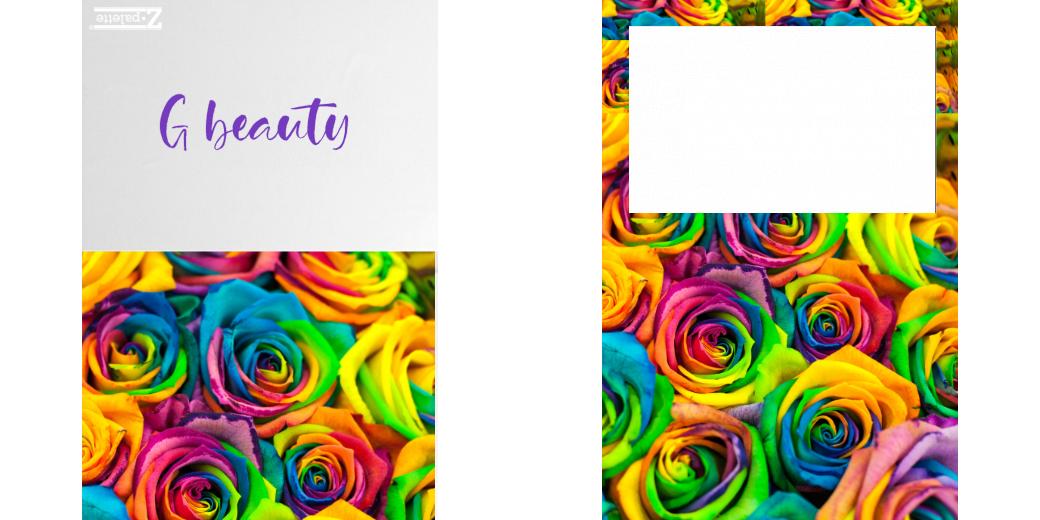 Custom Junior Z Palette