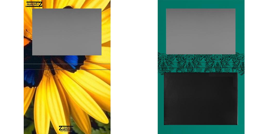 Custom Extra Large Z Palette