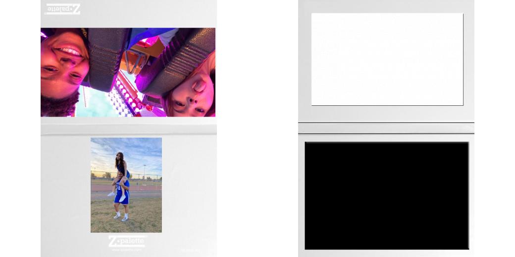 Custom Junior Z Palette