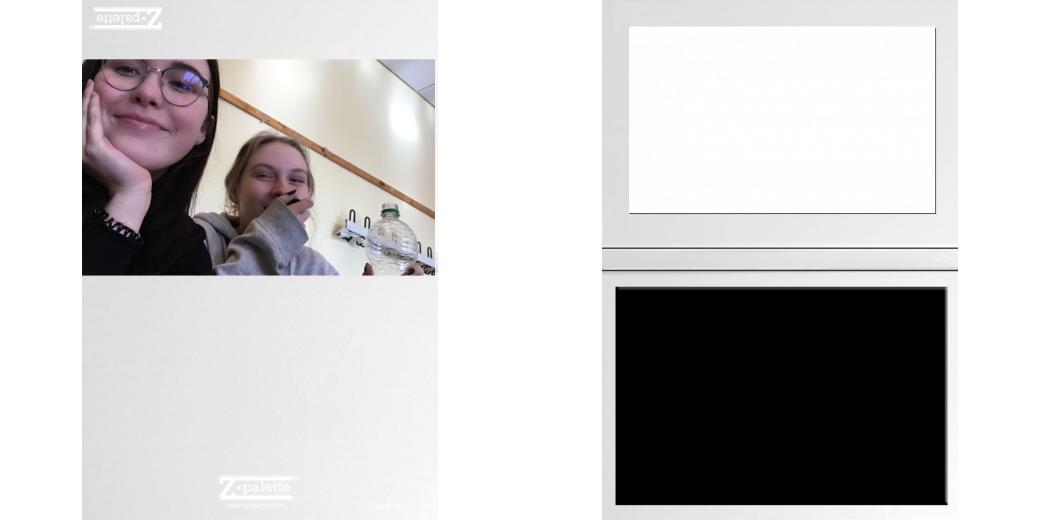 Custom Junior Z Palette