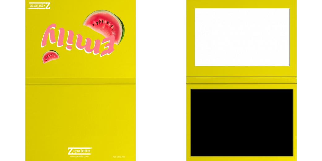 Custom Junior Z Palette