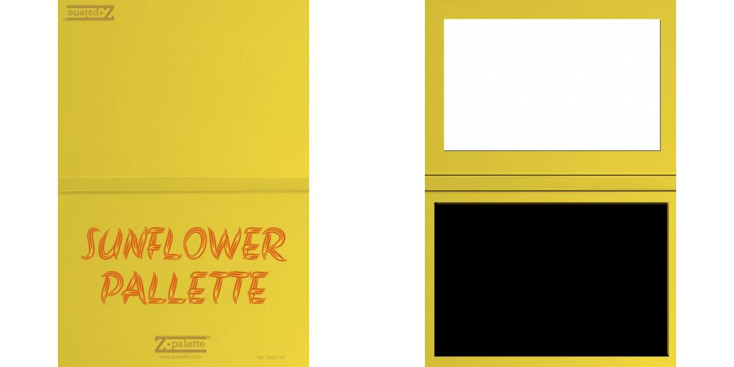 Custom Junior Z Palette