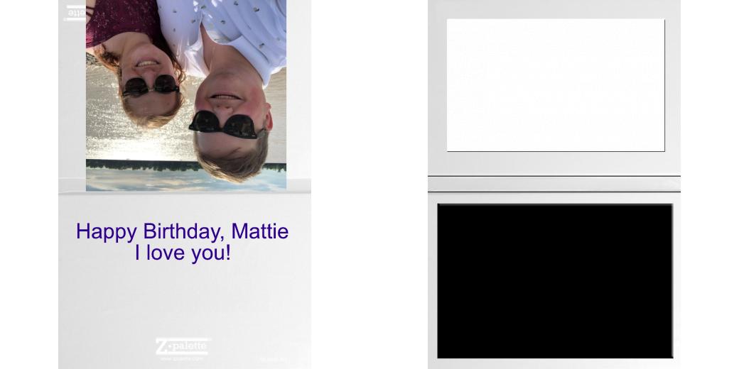 Custom Junior Z Palette