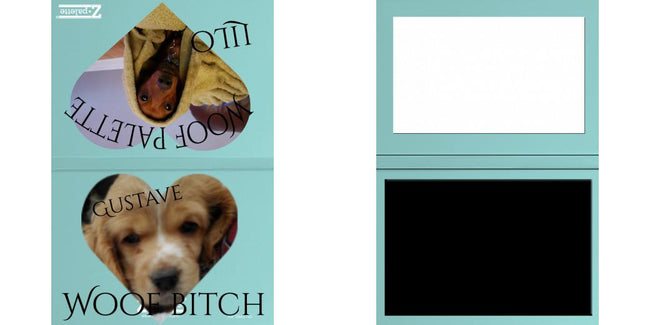 Custom Junior Z Palette