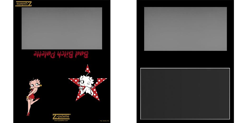 Custom Large Z Palette