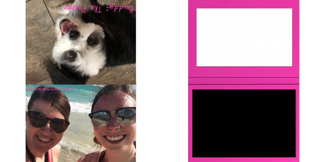 Custom Junior Z Palette