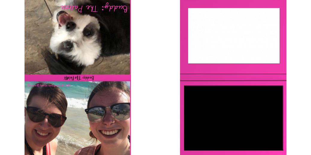 Custom Junior Z Palette