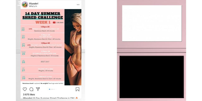 Custom Junior Z Palette