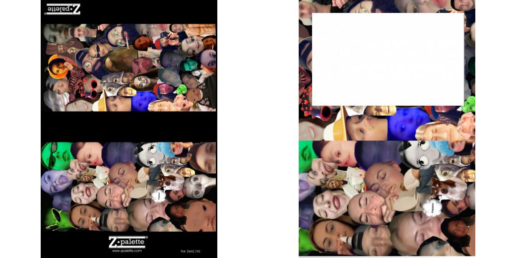 Custom Junior Z Palette