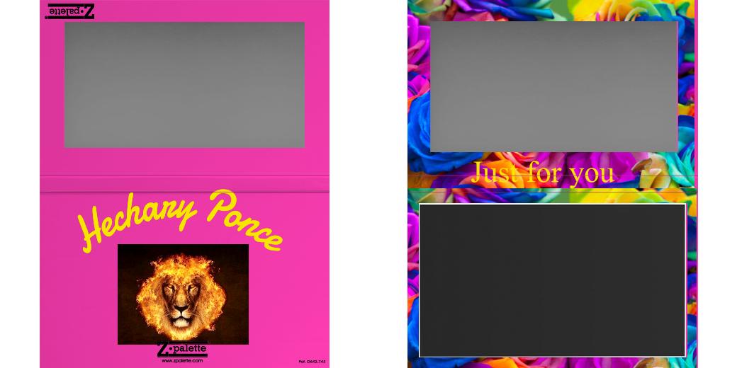 Custom Large Z Palette