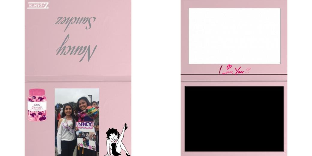 Custom Junior Z Palette