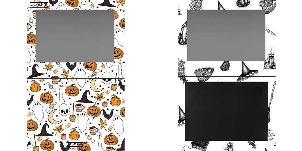 Custom Extra Large Z Palette