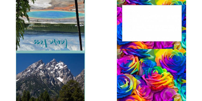 Custom Junior Z Palette