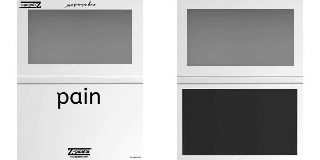 Custom Large Z Palette