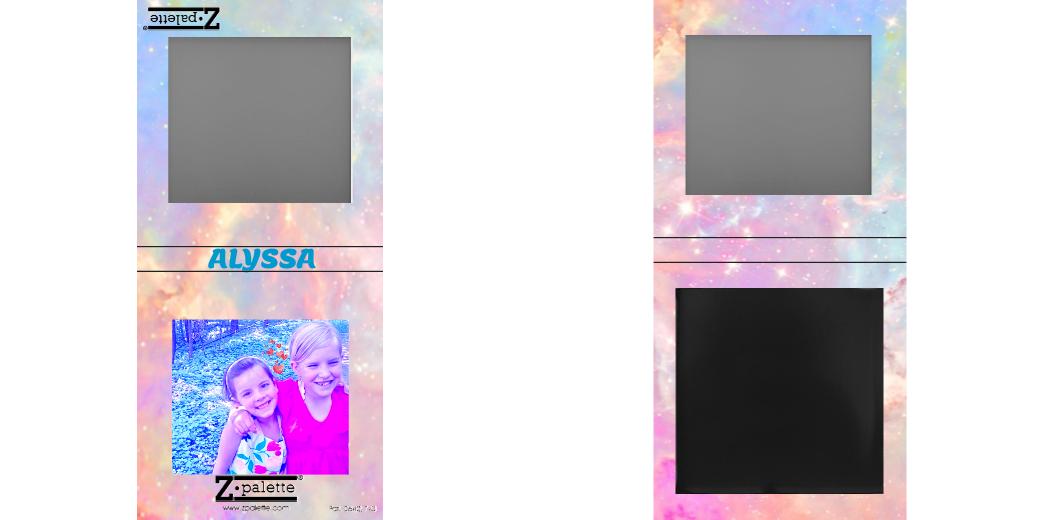 Custom Small Z Palette