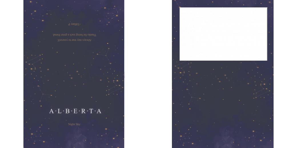 Custom Junior Z Palette