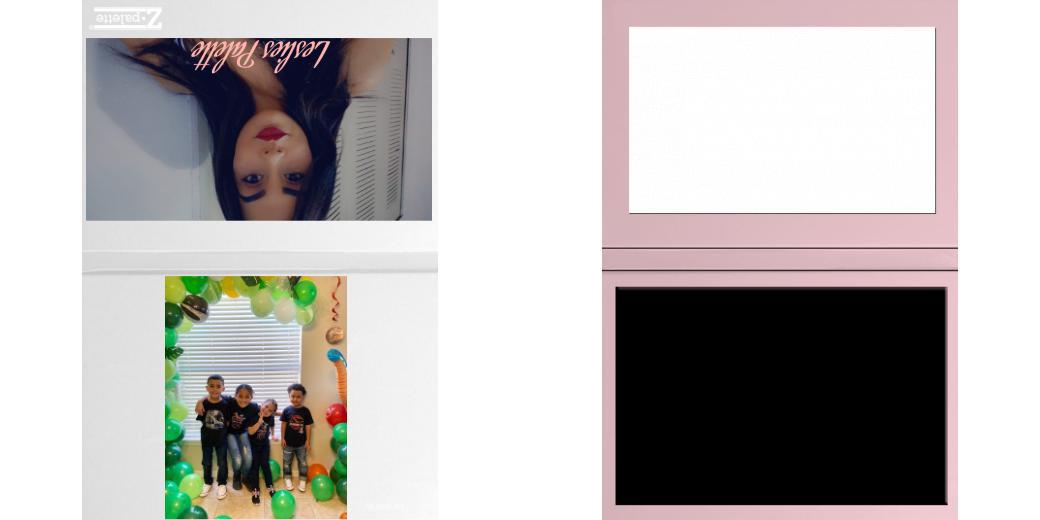 Custom Junior Z Palette