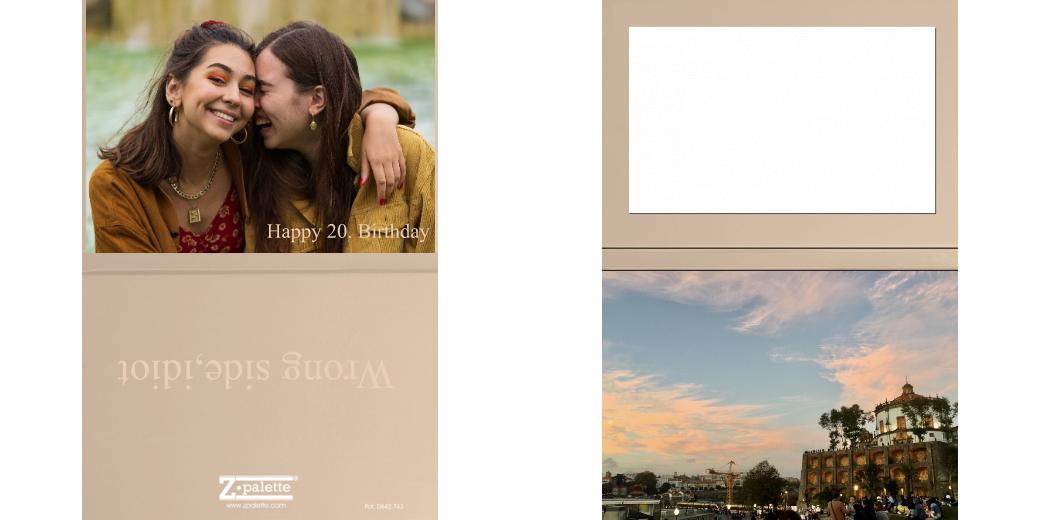 Custom Junior Z Palette