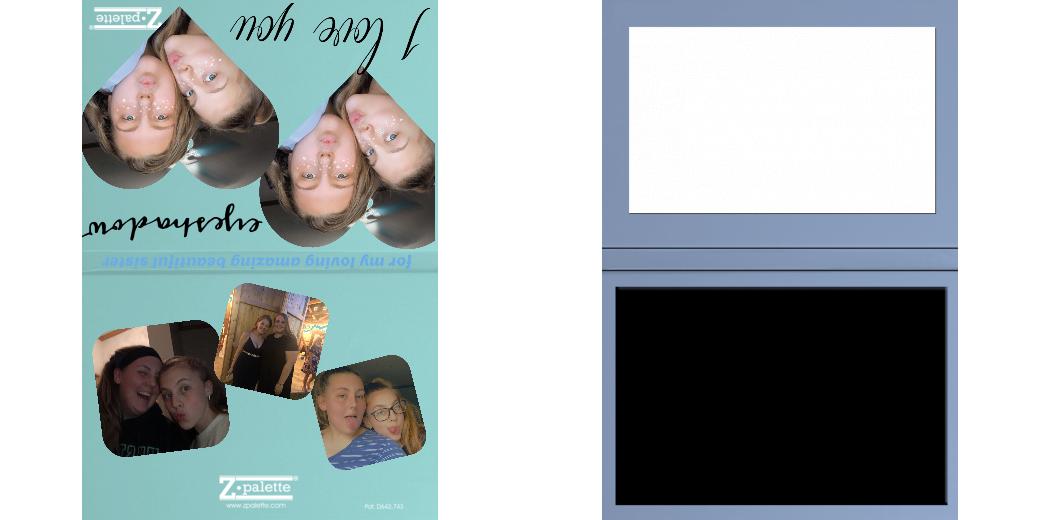 Custom Junior Z Palette