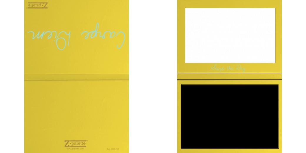 Custom Junior Z Palette