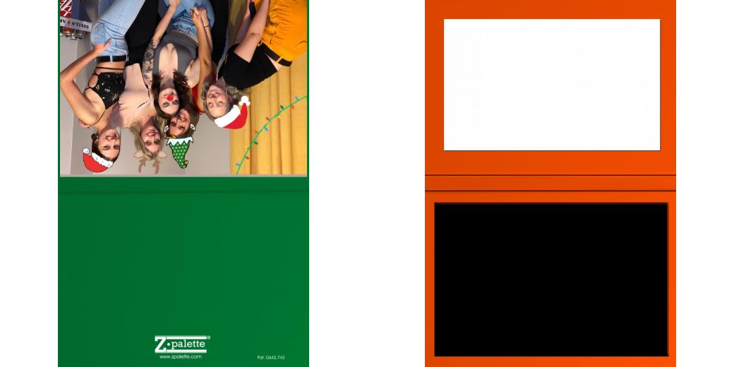 Custom Junior Z Palette