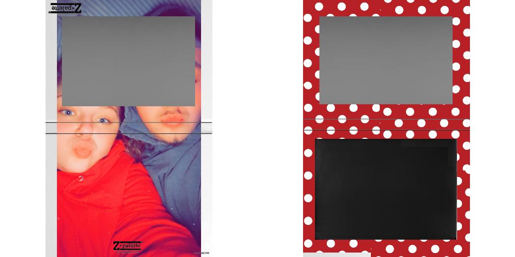 Custom Extra Large Z Palette