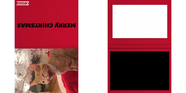 Custom Junior Z Palette