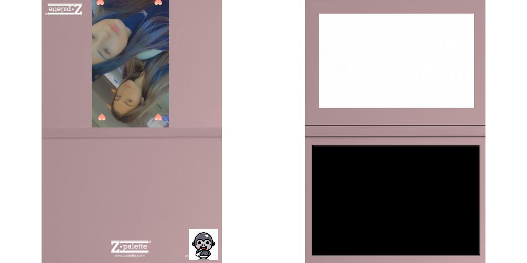 Custom Junior Z Palette