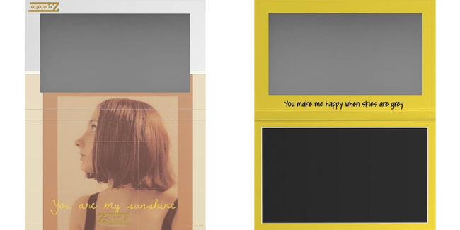 Custom Large Z Palette