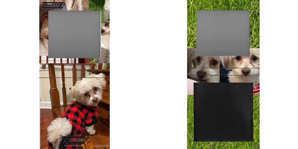 Custom Small Z Palette