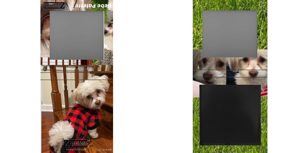 Custom Small Z Palette