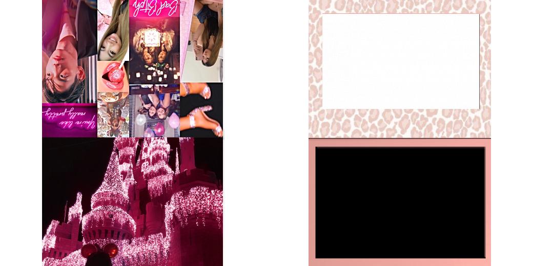 Custom Junior Z Palette