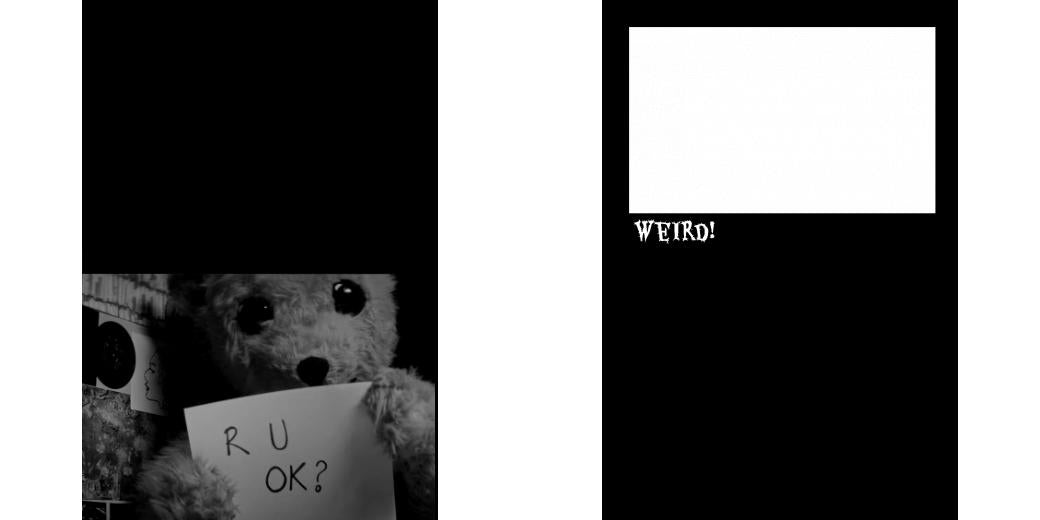 Custom Junior Z Palette