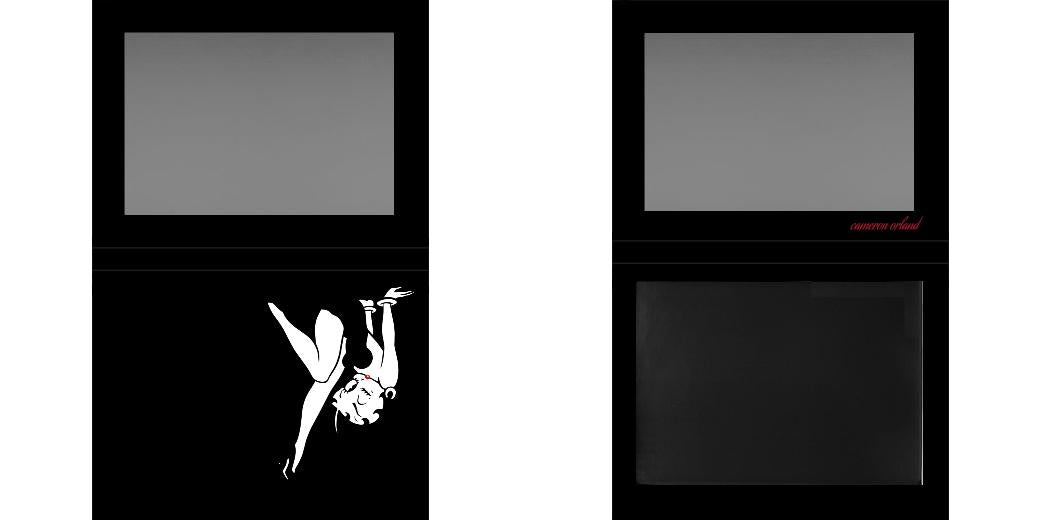 Custom Extra Large Z Palette