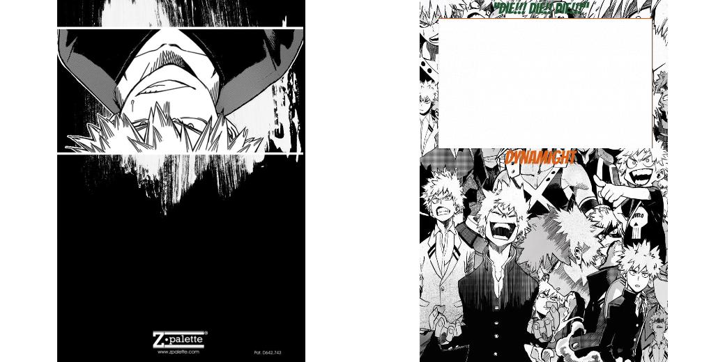 Custom Junior Z Palette