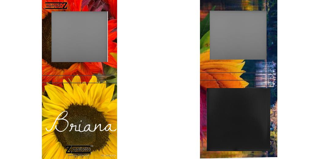 Custom Small Z Palette