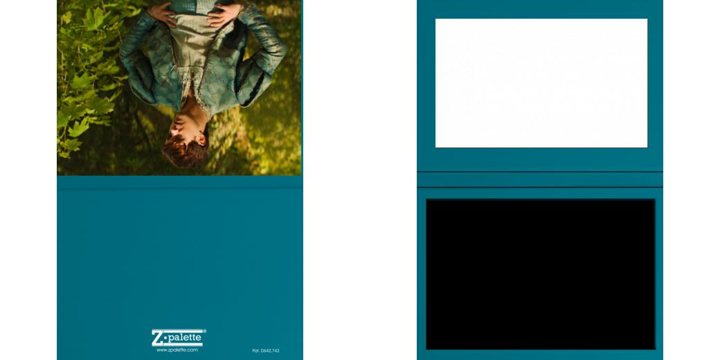 Custom Junior Z Palette