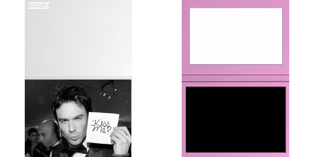 Custom Junior Z Palette