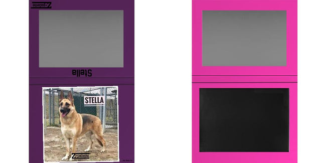 Custom Extra Large Z Palette